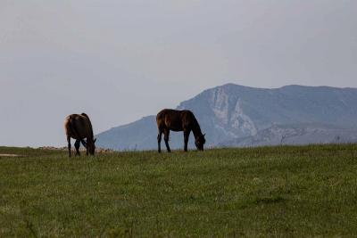 Прикрепленное изображение: IMG_0188.jpg